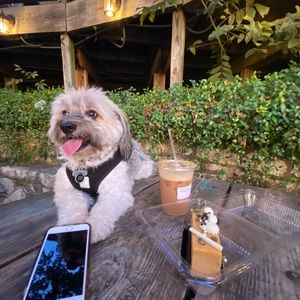 Meet your Posher, WengDee_ZV